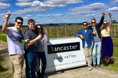 Swan Valley Tour From Perth: Wine, Beer And Chocolate Tastings - Sunshine Coast Tourism 1
