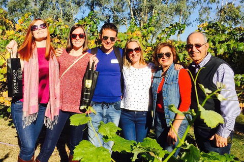 Swan Valley Tour From Perth: Wine, Beer And Chocolate Tastings - Sunshine Coast Tourism 2