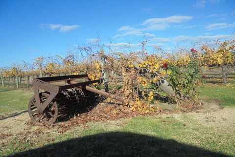 Swan Valley Tour From Perth: Wine, Beer And Chocolate Tastings - Sunshine Coast Tourism 3