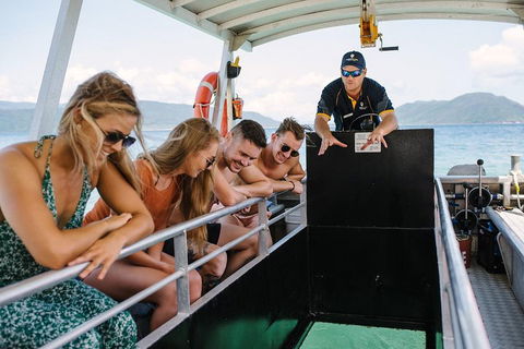 Fitzroy Island Day Trip From Cairns - Sunshine Coast Tourism 4