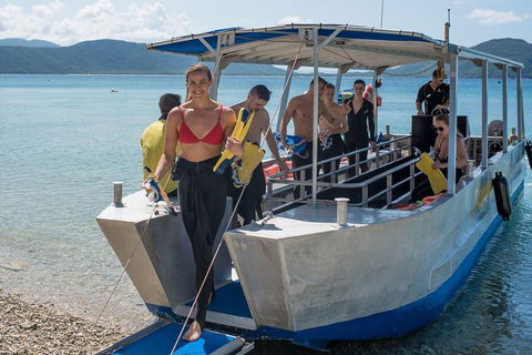 Fitzroy Island Day Trip From Cairns - Sunshine Coast Tourism 5