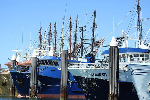 One Day Port Lincoln Tour - Tasting Eyre - Holiday Sunshine Coast 0