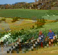10 Day Perth to Adelaide Private Tour - The Great Australian Wilderness Journey - Sunshine Coast Tourism