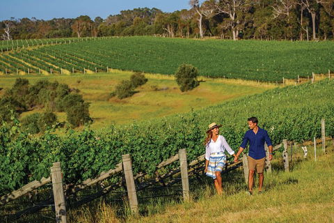10 Day Perth To Adelaide Private Tour - The Great Australian Wilderness Journey - Sunshine Coast Tourism 0
