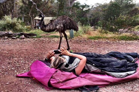 6 Day Esperance & Margaret River Adventure Tour - Sunshine Coast Tourism 5