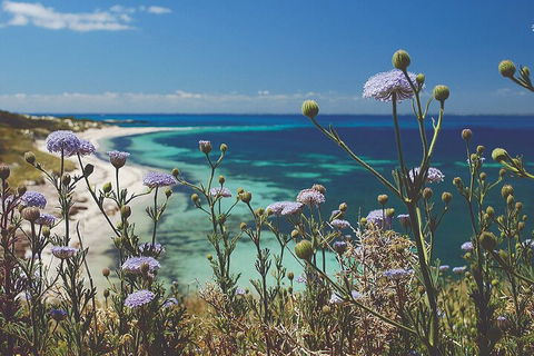 Rottnest Island Full-Day Trip With Guided Island Tour From Perth - Holiday Sunshine Coast 2