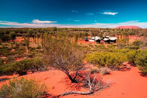 Overnight Uluru (Ayers Rock) Small-Group Camping Tour - Sunshine Coast Tourism 2
