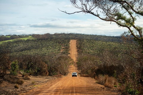 NEW TOUR - Kangaroo Island Road To Recovery Tour (1 Day/1 Night) - Sunshine Coast Tourism 2