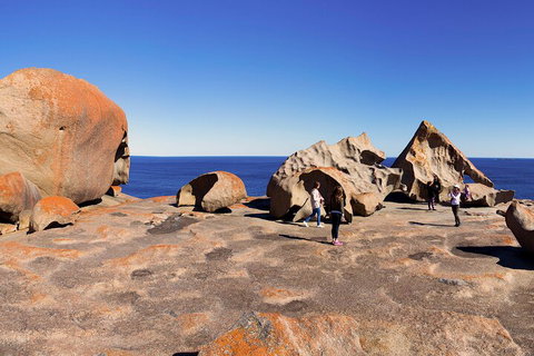 Full-Day Kangaroo Island Experience Departing From Kangaroo Island - Holiday Sunshine Coast 4