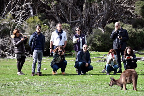 Small-Group Kangaroo Island 4WD Tour From Adelaide - Holiday Sunshine Coast 2