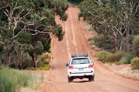 Small-Group Kangaroo Island 4WD Tour From Adelaide - Holiday Sunshine Coast 3