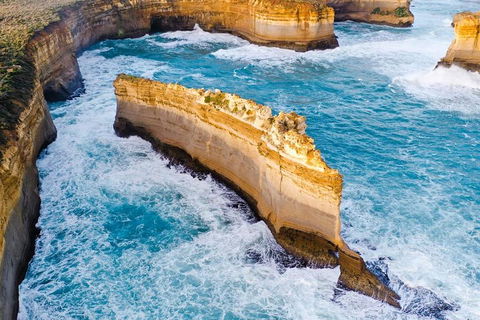 Small-Group Great Ocean Road Day Trip From Melbourne - Sunshine Coast Tourism 2