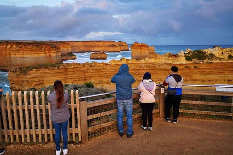 Small-Group Great Ocean Road Day Trip From Melbourne - Sunshine Coast Tourism 4