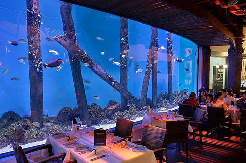 Cairns Aquarium And Small Group City Sightseeing Tour - Sunshine Coast Tourism 4