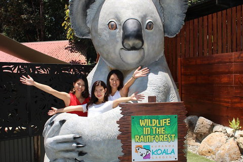 Kuranda Koala Gardens And Birdworld Admission Tickets - Holiday Sunshine Coast 3