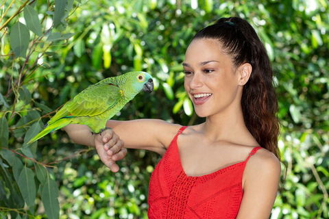 Kuranda Wildlife Experience Three Attraction Pass - Sunshine Coast Tourism 1