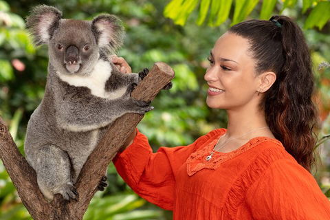 Kuranda Wildlife Experience Three Attraction Pass - Sunshine Coast Tourism 4