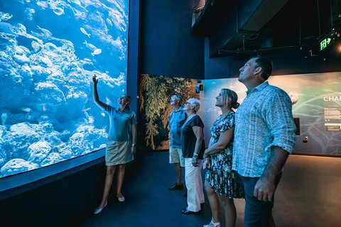 Cairns Aquarium By Twilight With 3-Course Dinner - Sunshine Coast Tourism 1