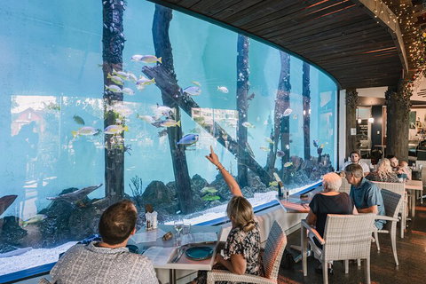 Cairns Aquarium By Twilight With 3-Course Dinner - Sunshine Coast Tourism 4