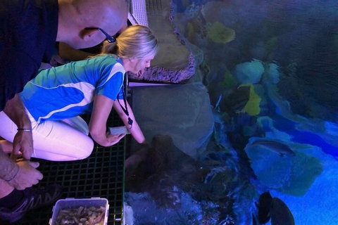 Cairns Aquarium Marine Life Encounter Ticket With 2-Course Lunch - Sunshine Coast Tourism 2
