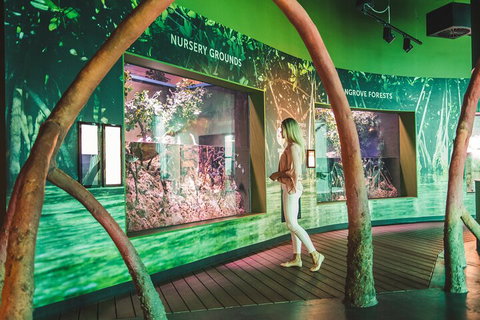 Cairns Aquarium Marine Life Encounter Ticket With 2-Course Lunch - Sunshine Coast Tourism 3