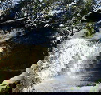Cradle Mountain Day Tour from Launceston Including Lunch - Holiday Sunshine Coast