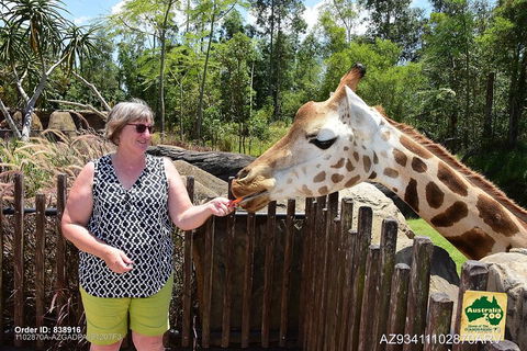 Small-Group Australia Zoo Day Trip From Brisbane - Sunshine Coast Tourism 2