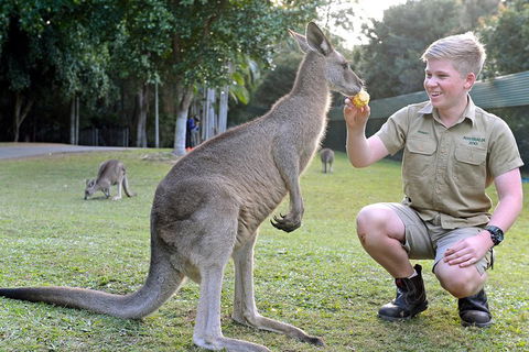 Small-Group Australia Zoo Day Trip From Brisbane - Sunshine Coast Tourism 4