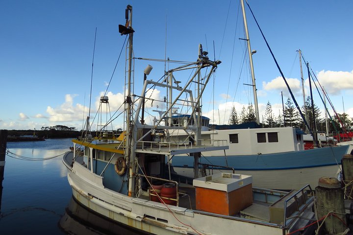 Holiday Sunshine Coast