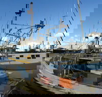 Beyond Byron Hinterland Tour - Holiday Sunshine Coast