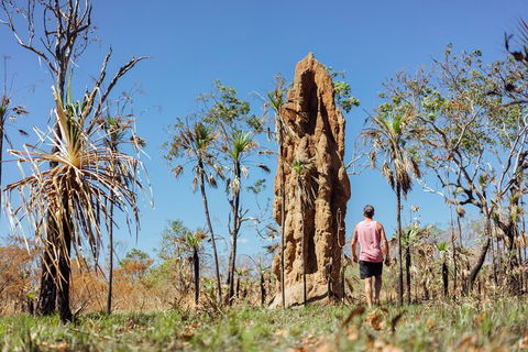 Litchfield National Park Waterfalls And Wildlife Tour From Darwin - Sunshine Coast Tourism 4