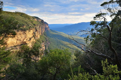 Blue Mountains Day Tour With Wildlife At Sunset From Sydney - Holiday Sunshine Coast 5