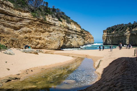 Great Ocean Road And 12 Apostles Day Trip From Melbourne - Sunshine Coast Tourism 2