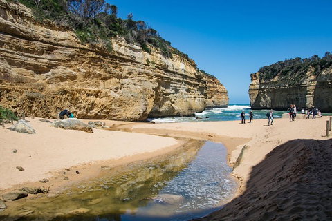 Great Ocean Road Reverse Itinerary With 12 Apostles From Melbourne - Sunshine Coast Tourism 2