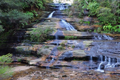 Blue Mountains Day Trip From Sydney With Amazing Lookouts (Private Tour) - Sunshine Coast Tourism 4