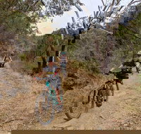 Mount Lofty Descent Bike Tour from Adelaide - Sunshine Coast Tourism