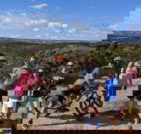 McLaren Vale Wine Tour by Bike - Sunshine Coast Tourism