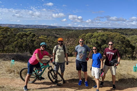 McLaren Vale Wine Tour By Bike - Holiday Sunshine Coast 0