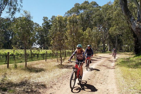 McLaren Vale Wine Tour By Bike - Holiday Sunshine Coast 1