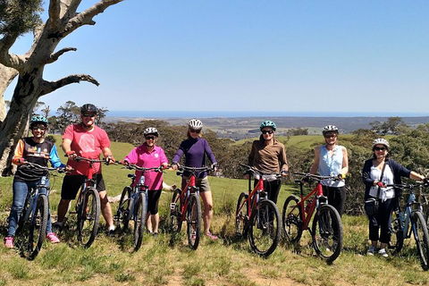 McLaren Vale Wine Tour By Bike - Holiday Sunshine Coast 2