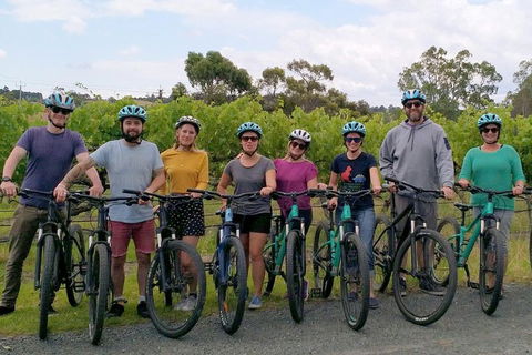 McLaren Vale Wine Tour By Bike - Holiday Sunshine Coast 4