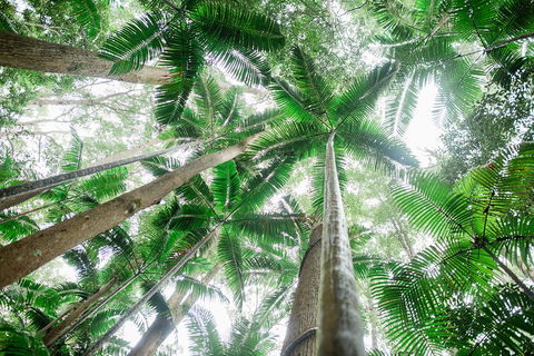Fraser Explorer K'gari 2-Day Tour - Sunshine Coast Tourism 2