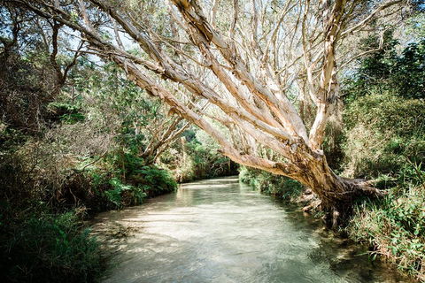 3-Day Fraser Island Resort Package - Sunshine Coast Tourism 5