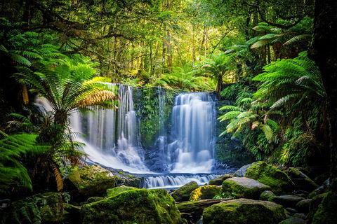 Day Tour In Mt. Field, Mt. Wellington, Bonorong Wildlife Sanctuary And Richmond - Sunshine Coast Tourism 0