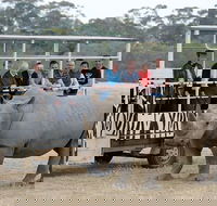 Off-Road Safari at Werribee Open Range Zoo - Sunshine Coast Tourism