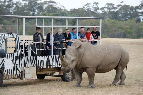 Off-Road Safari At Werribee Open Range Zoo - Sunshine Coast Tourism 0