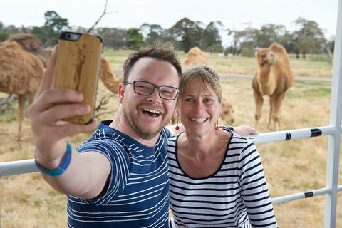 Off-Road Safari At Werribee Open Range Zoo - Sunshine Coast Tourism 1