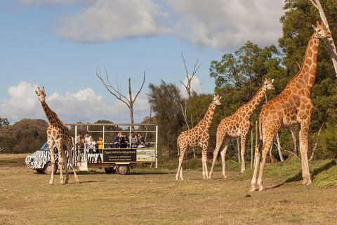 Off-Road Safari At Werribee Open Range Zoo - Sunshine Coast Tourism 3