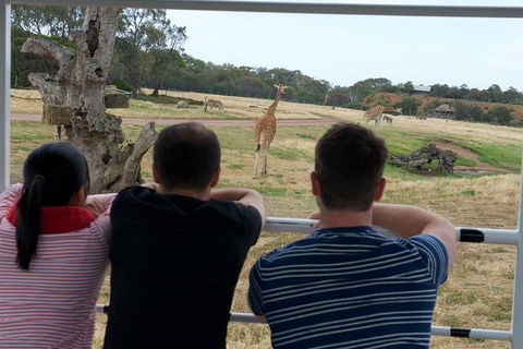 Off-Road Safari At Werribee Open Range Zoo - Sunshine Coast Tourism 4