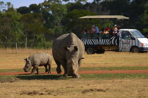 Off-Road Safari At Werribee Open Range Zoo - Sunshine Coast Tourism 5